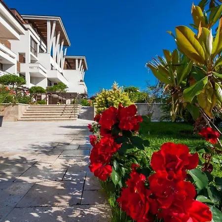 лукс аполония * Chernomorets