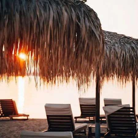 Apartment лукс аполония *