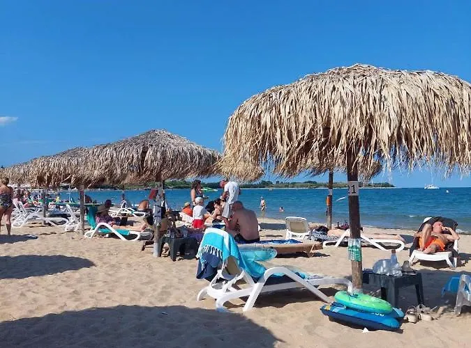 лукс аполония * Chernomorets