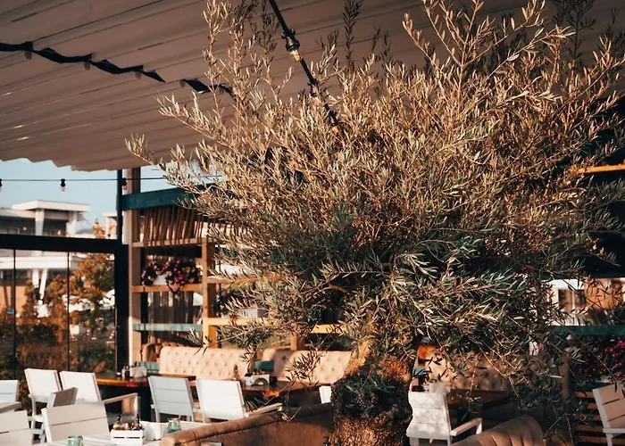 лукс аполония Chernomorets