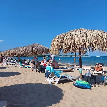 лукс аполония * Chernomorets