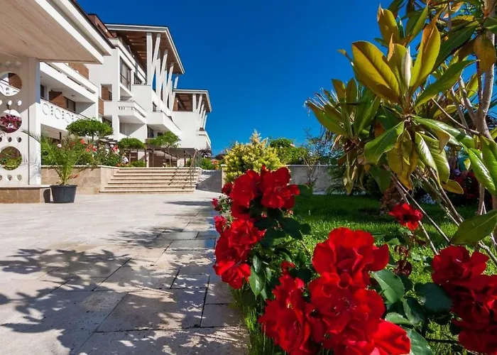 лукс аполония * Chernomorets