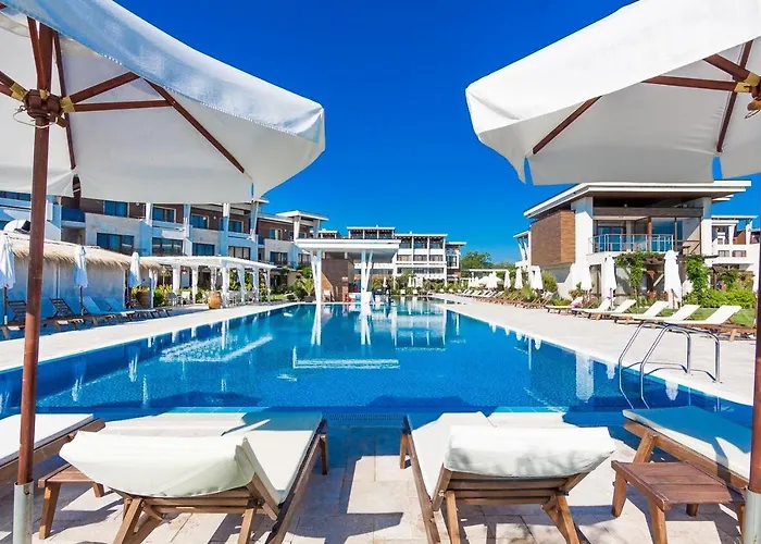 лукс аполония *